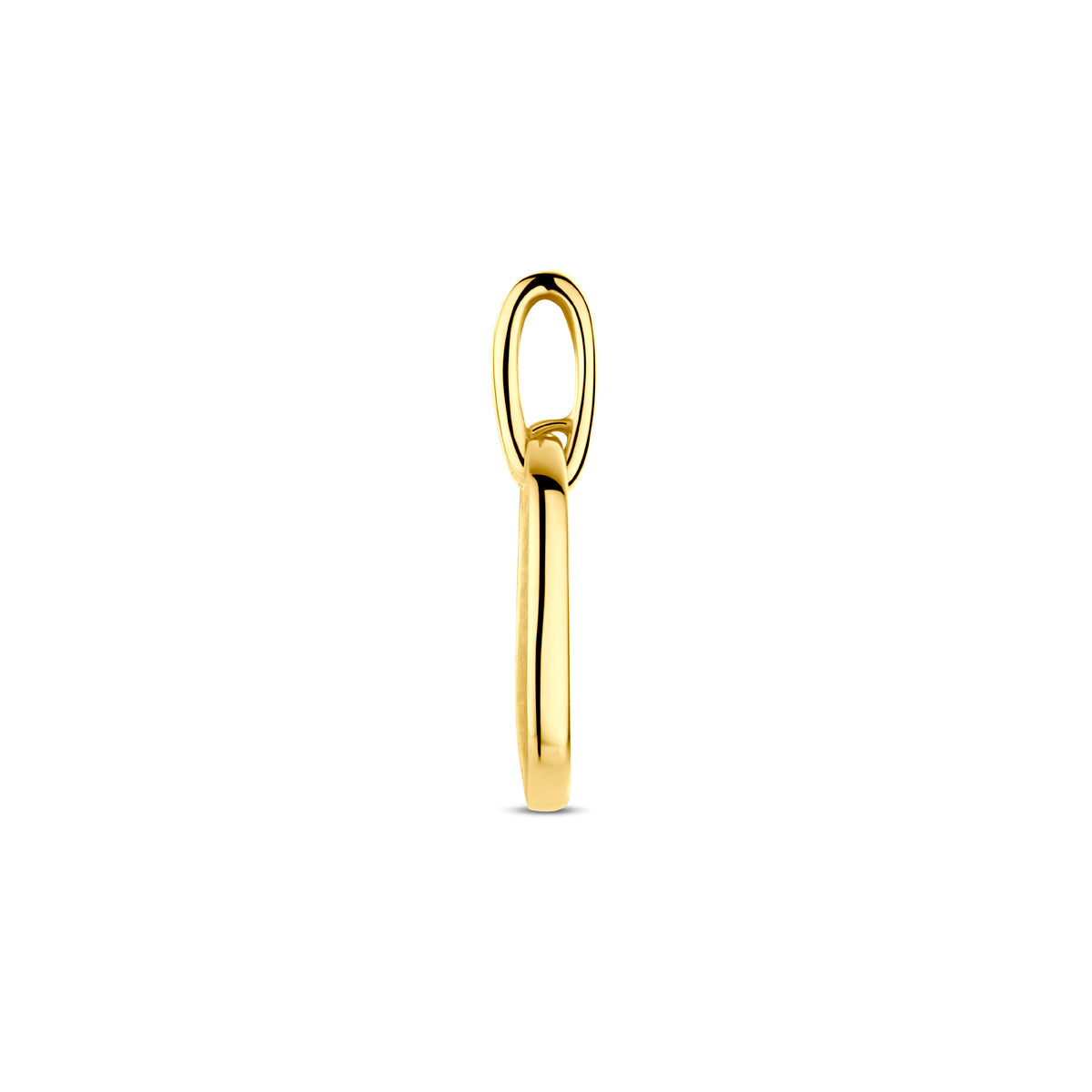 hanger poli/mat diamant 0.03ct h si 20 mm 14K geelgoud