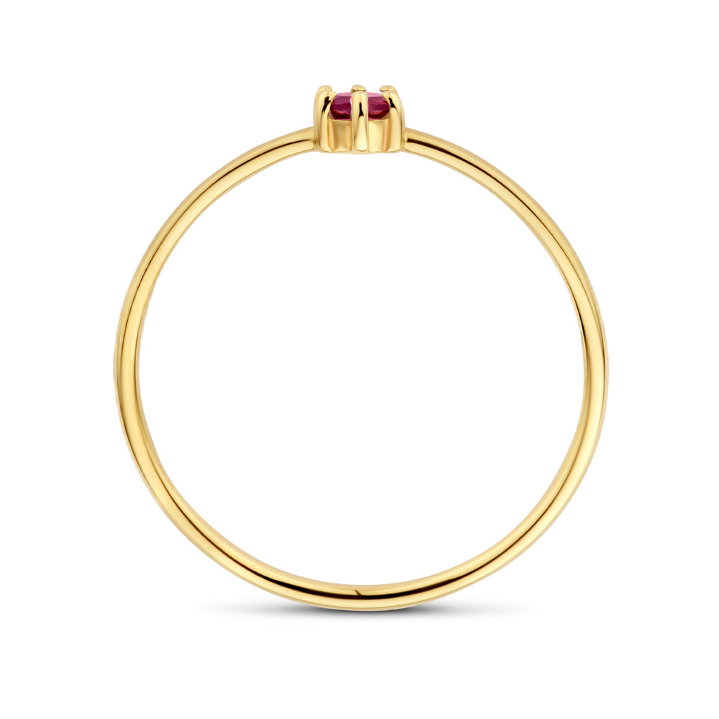 Ring mit Geburtsstein Granat Januar 14K Gelbgold