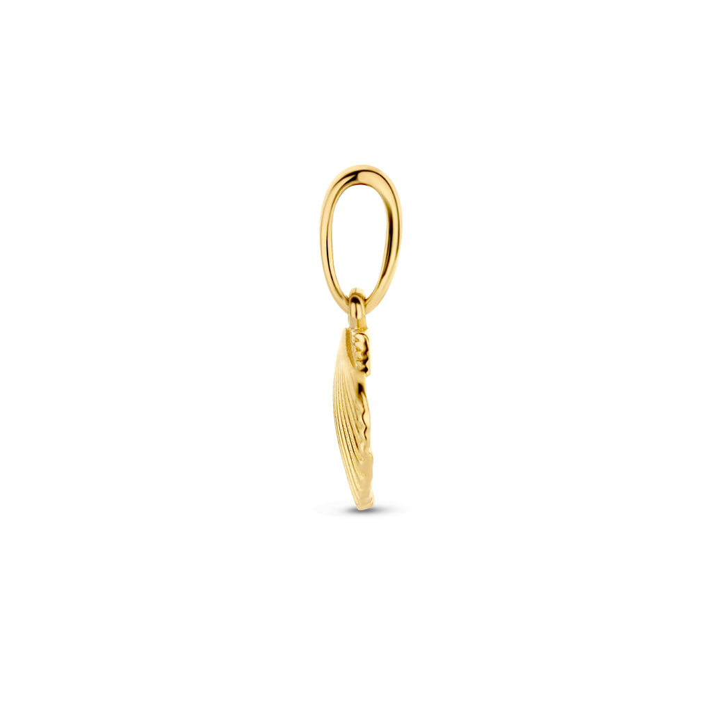 Anhänger Muschel 12 mm 14K Gelbgold