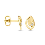 Ohrstecker Poly/matt Diamant 0,03 ct (2x 0,015 ct) h si 14K Gelbgold
