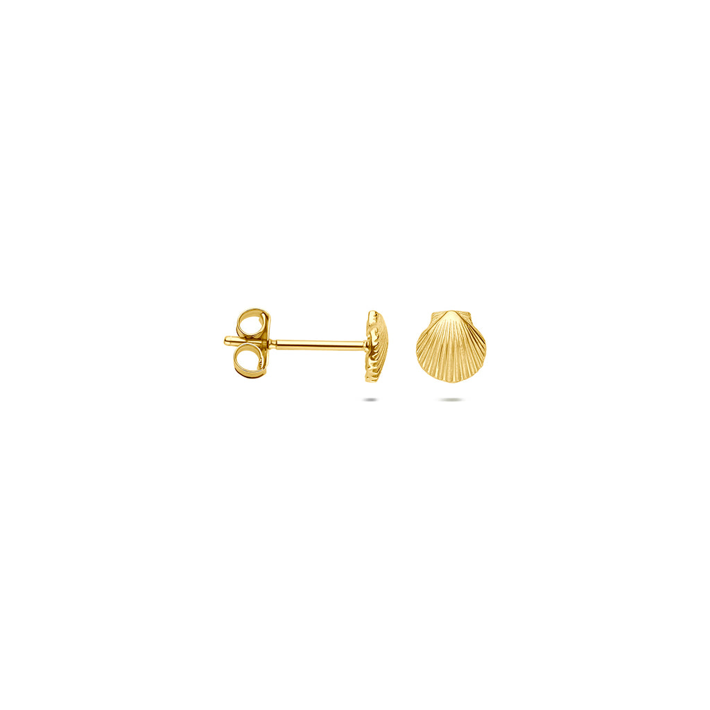 Muschel-Ohrstecker aus 14-karätigem Gelbgold