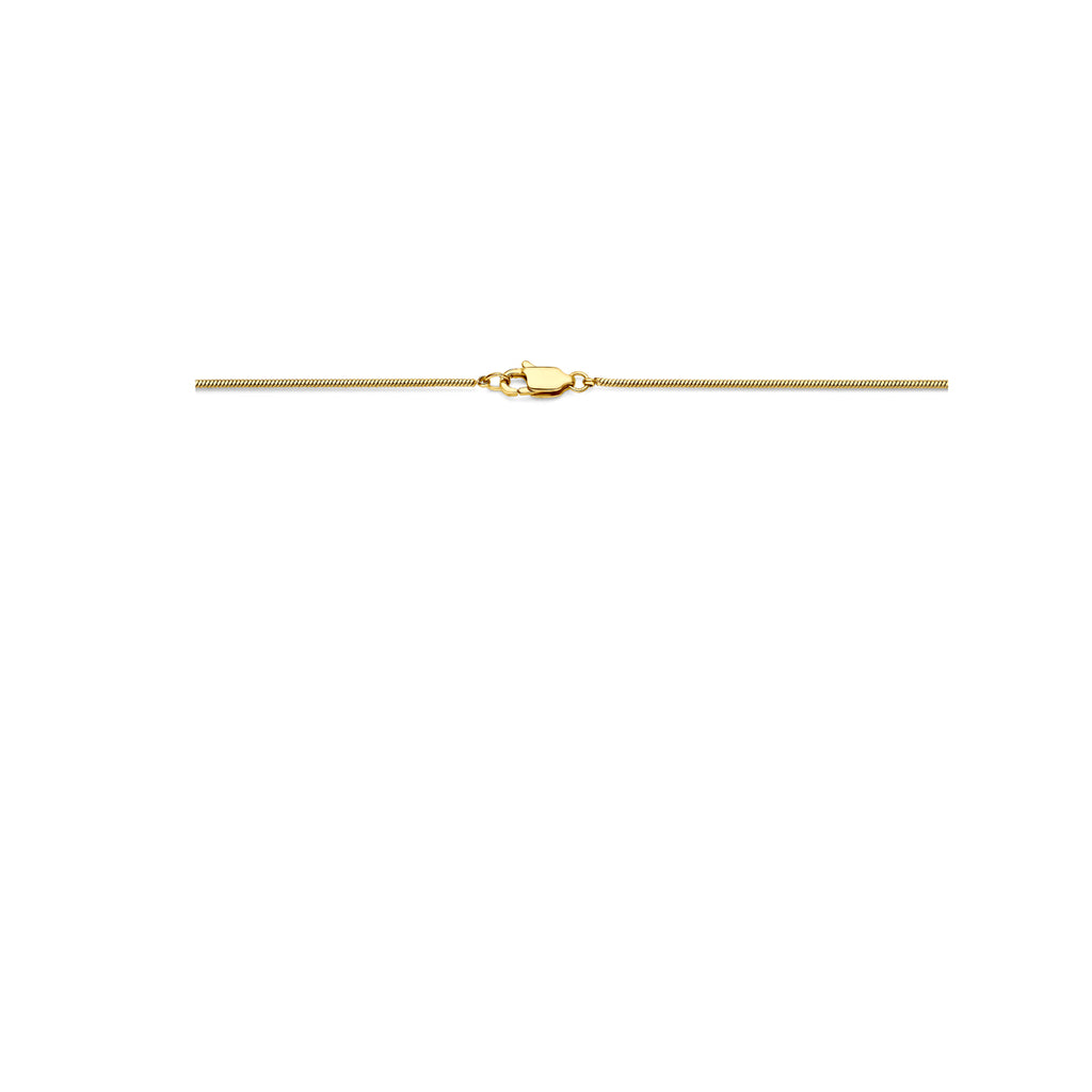 slang rond 1,4 mm ion plating edelstaal