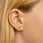 Oorknoppen saffier 14k geelgoud