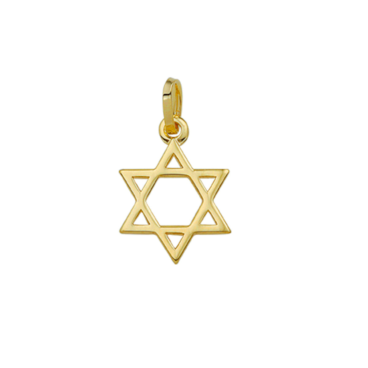 Hanger davidsster 14k geelgoud