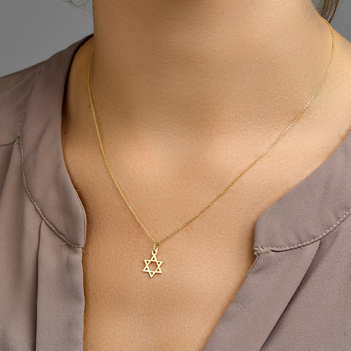 Hanger davidsster 14k geelgoud