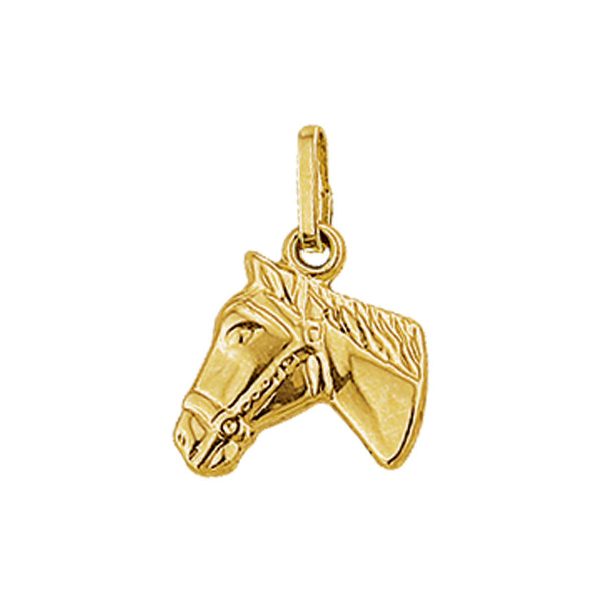 Hanger paardenhoofd 14k geelgoud