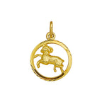 Hanger sterrenbeeld gediamanteerd 14k geelgoud