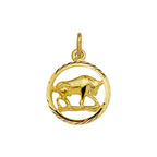 Hanger sterrenbeeld gediamanteerd 14k geelgoud