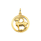 Hanger sterrenbeeld gediamanteerd 14k geelgoud