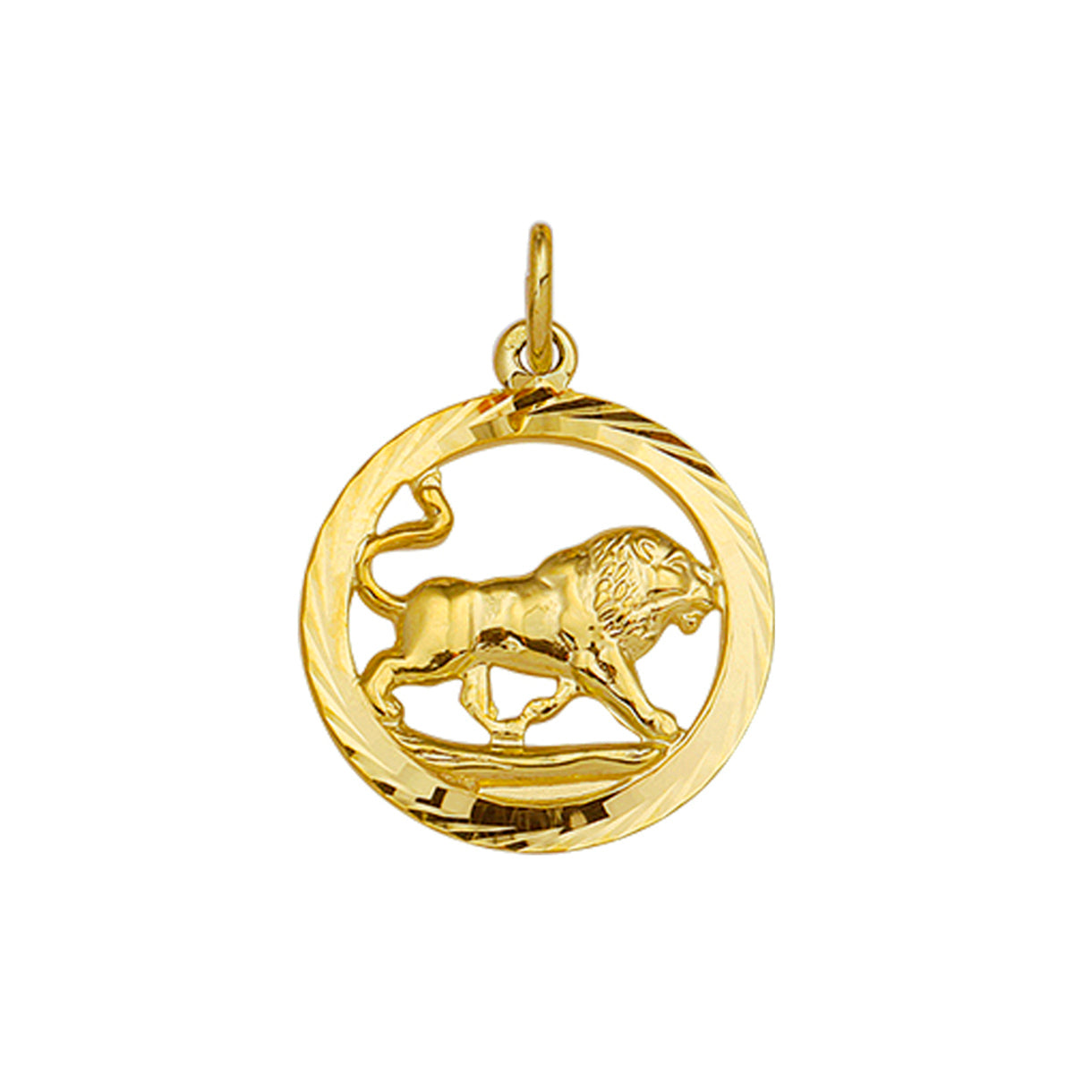 Hanger sterrenbeeld gediamanteerd 14k geelgoud