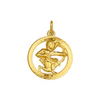 Hanger sterrenbeeld gediamanteerd 14k geelgoud