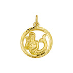 Hanger sterrenbeeld gediamanteerd 14k geelgoud