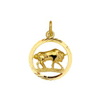 Hanger sterrenbeeld gediamanteerd 14k geelgoud