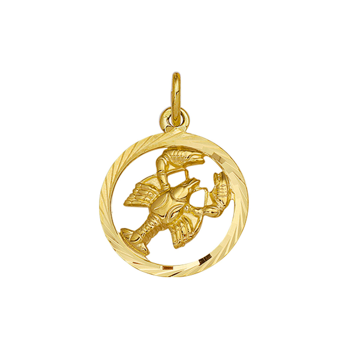 Hanger sterrenbeeld gediamanteerd 14k geelgoud