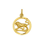 Hanger sterrenbeeld gediamanteerd 14k geelgoud