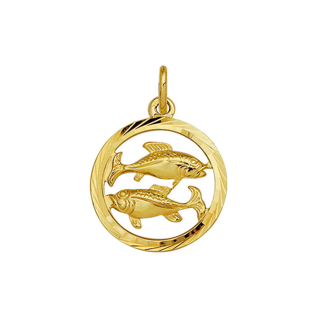 Hanger sterrenbeeld gediamanteerd 14k geelgoud