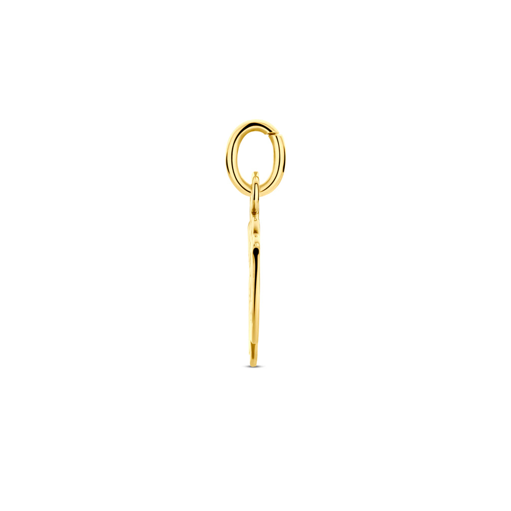 Hanger jongen 15 x 11 mm 14k geelgoud