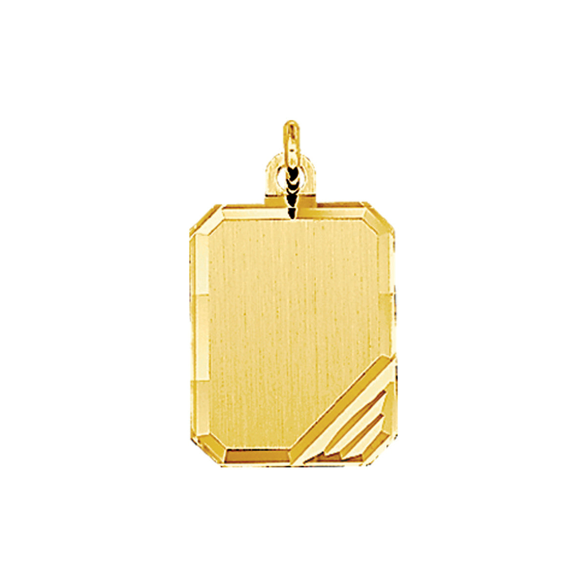 Graveerhanger mat gediamanteerd 14k geelgoud