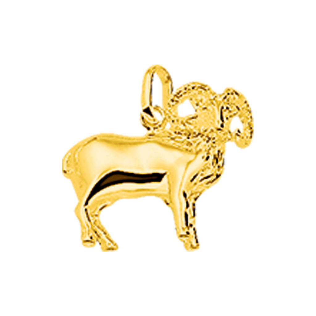 Hanger sterrenbeeld 14k geelgoud