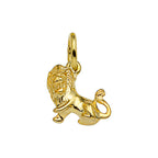 Hanger sterrenbeeld 14k geelgoud