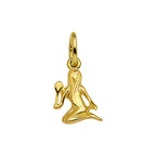 Hanger sterrenbeeld 14k geelgoud