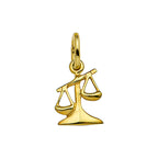 Hanger sterrenbeeld 14k geelgoud