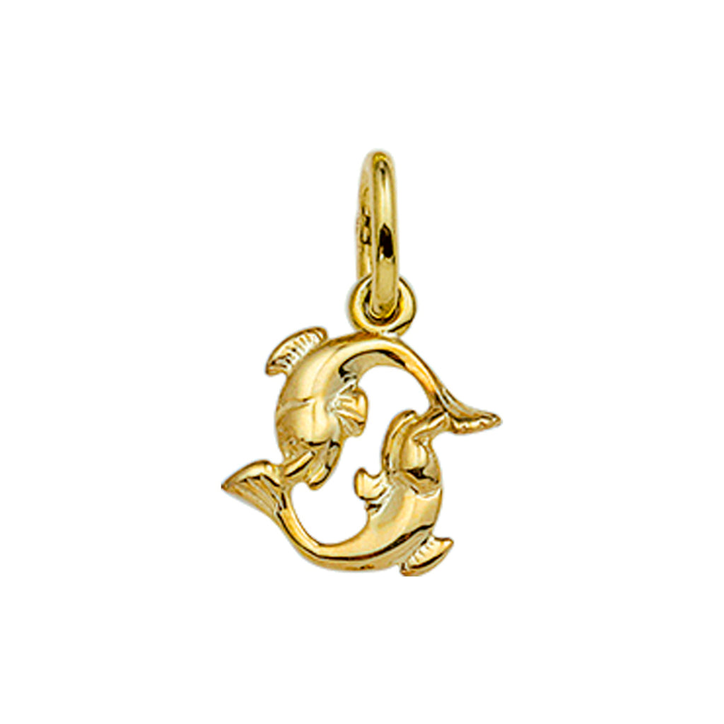 Hanger sterrenbeeld 14k geelgoud