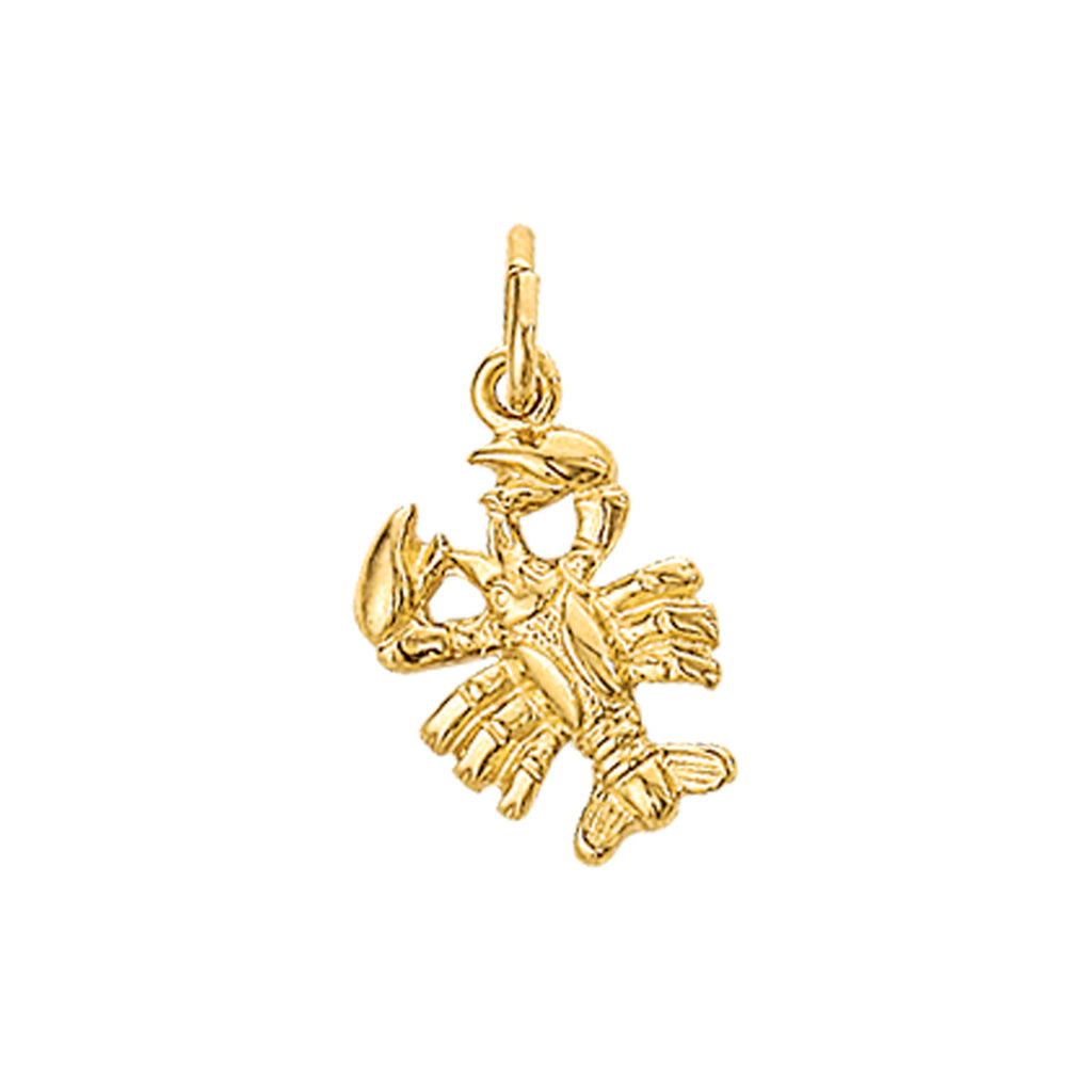 Hanger sterrenbeeld 14k geelgoud