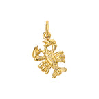 Hanger sterrenbeeld 14k geelgoud