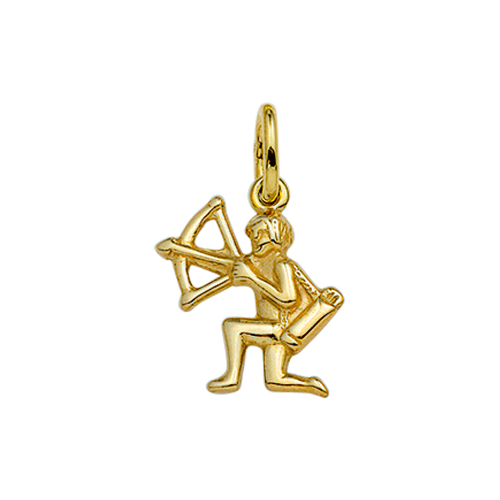 Hanger sterrenbeeld 14k geelgoud