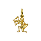 Hanger sterrenbeeld 14k geelgoud