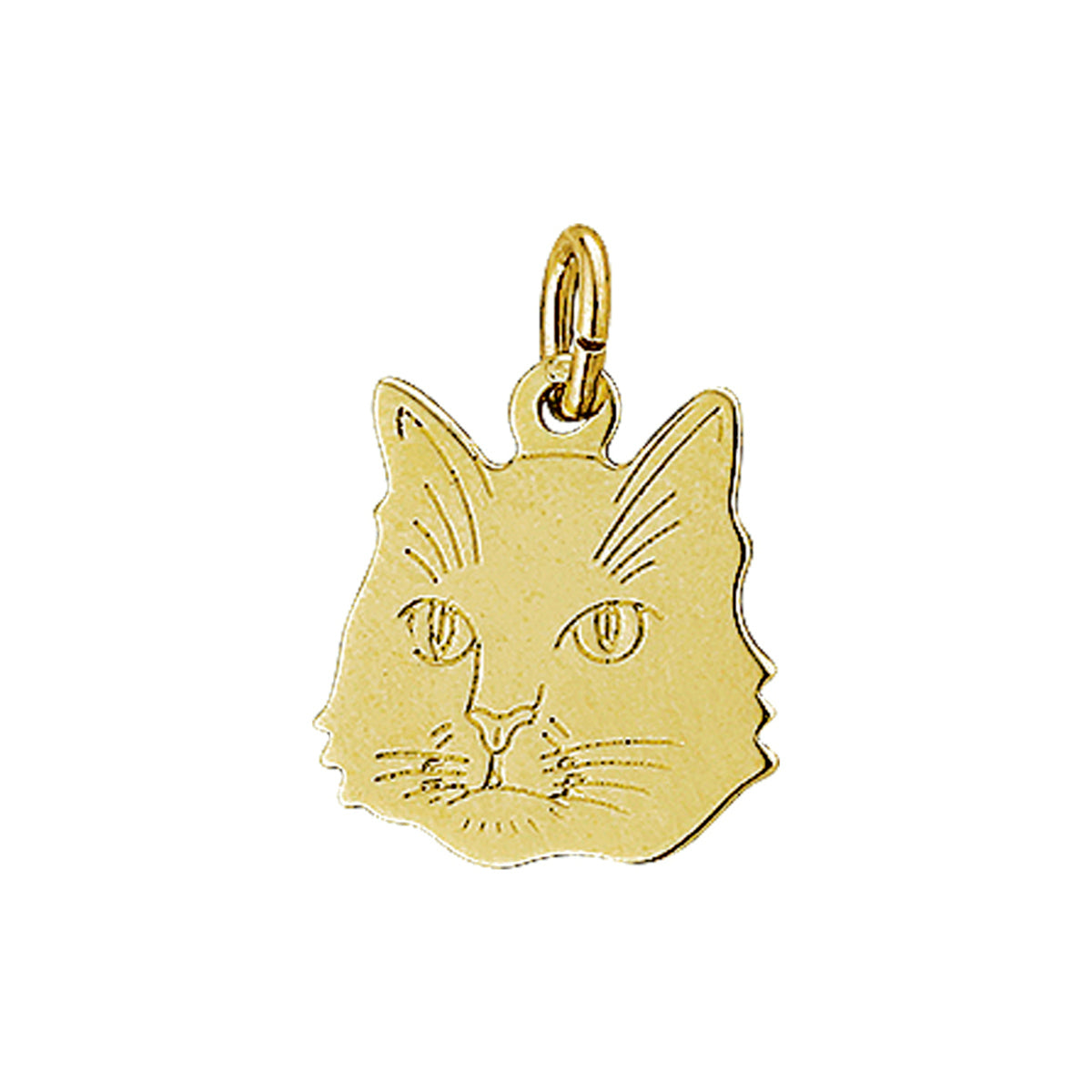 Hanger poes 14k geelgoud