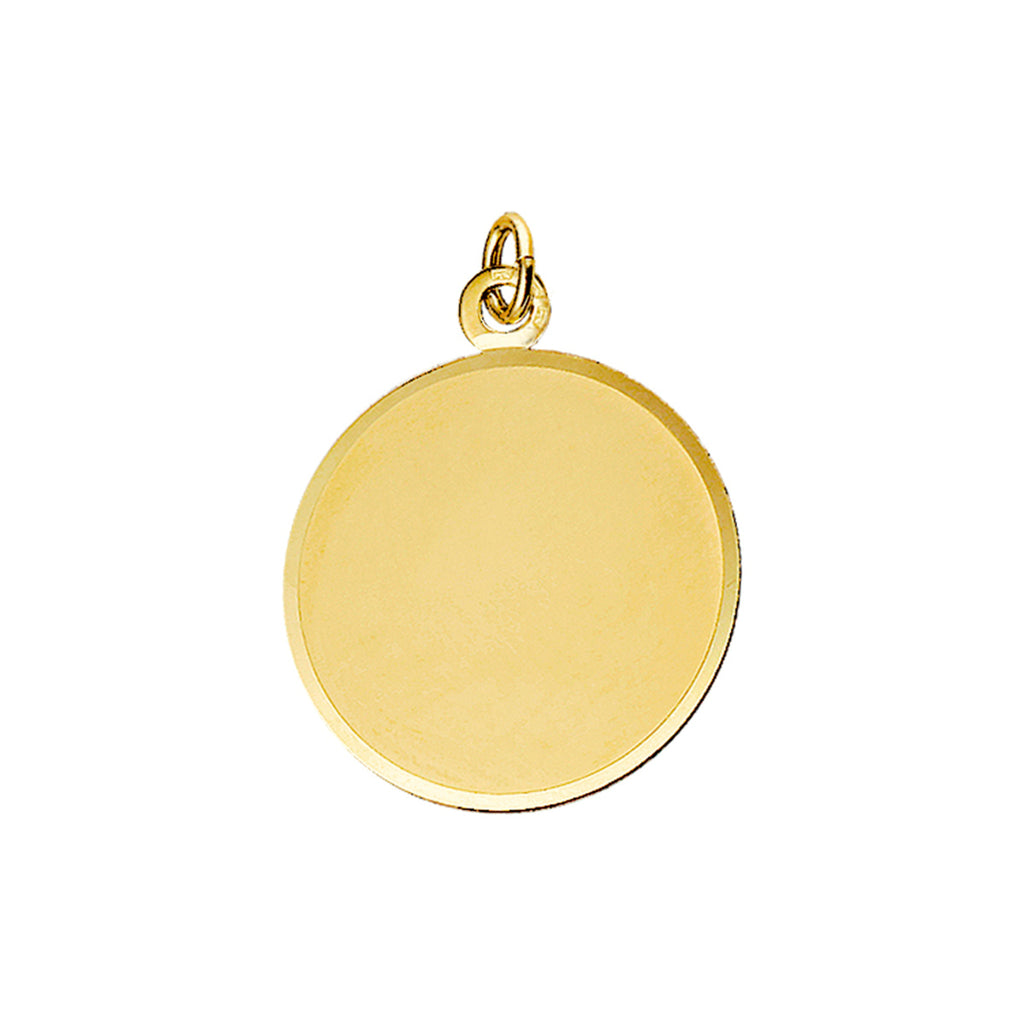 Hanger gediamanteerd 14k geelgoud