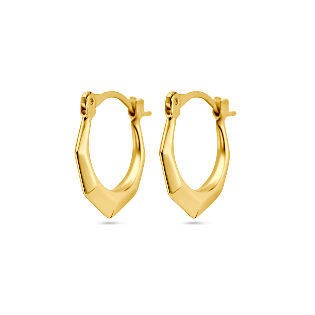Oorringen lapide 14k geelgoud