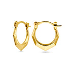 Oorringen lapide 14k geelgoud