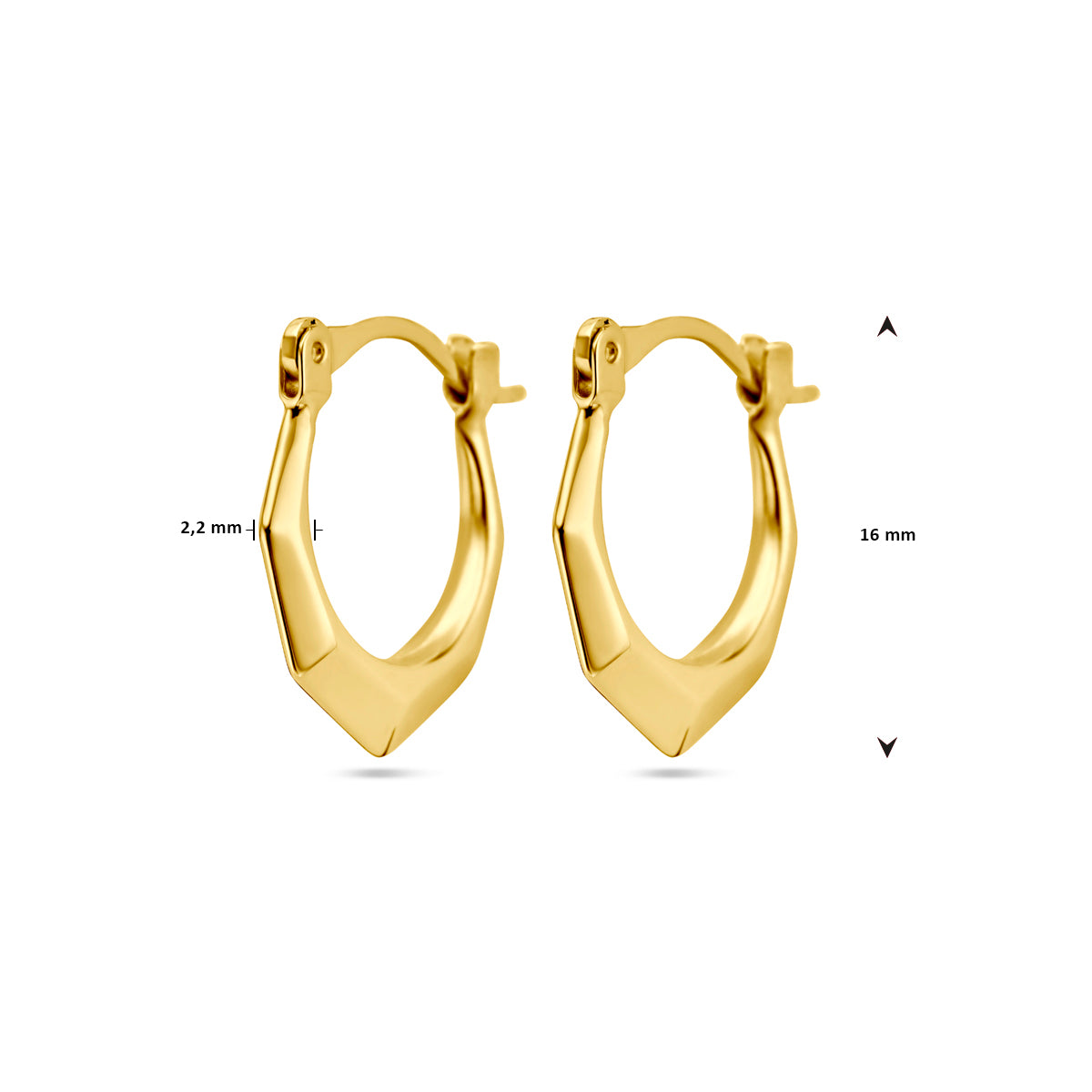 Oorringen lapide 14k geelgoud