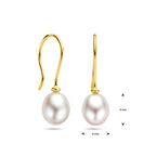 Oorhangers parel franse haak 14k geelgoud