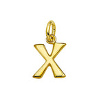 Hanger letter 14k geelgoud