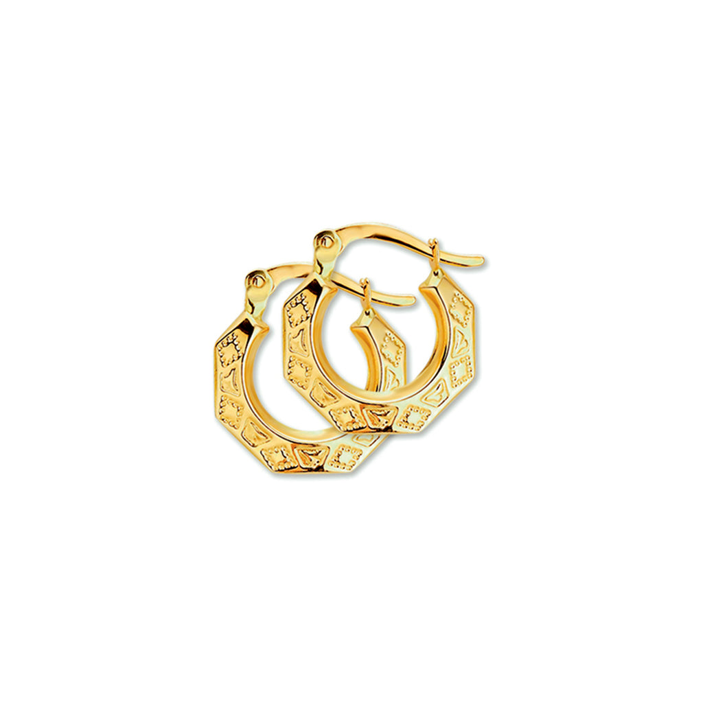 Oorringen lapide 14k geelgoud