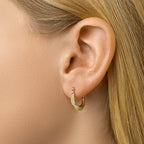 Oorringen lapide 14k geelgoud