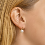 Oorhangers parel brisur haak 14k geelgoud