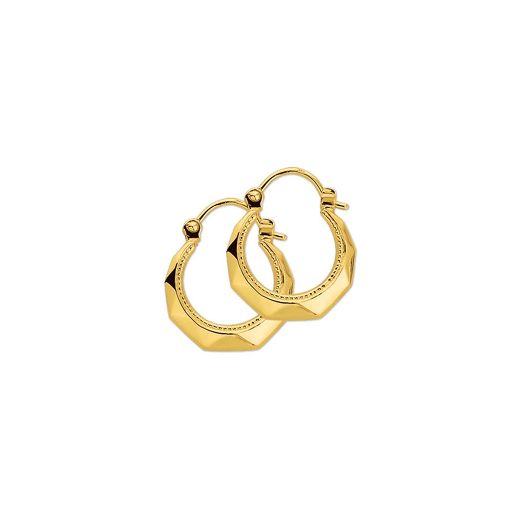 Oorringen lapide 14k geelgoud