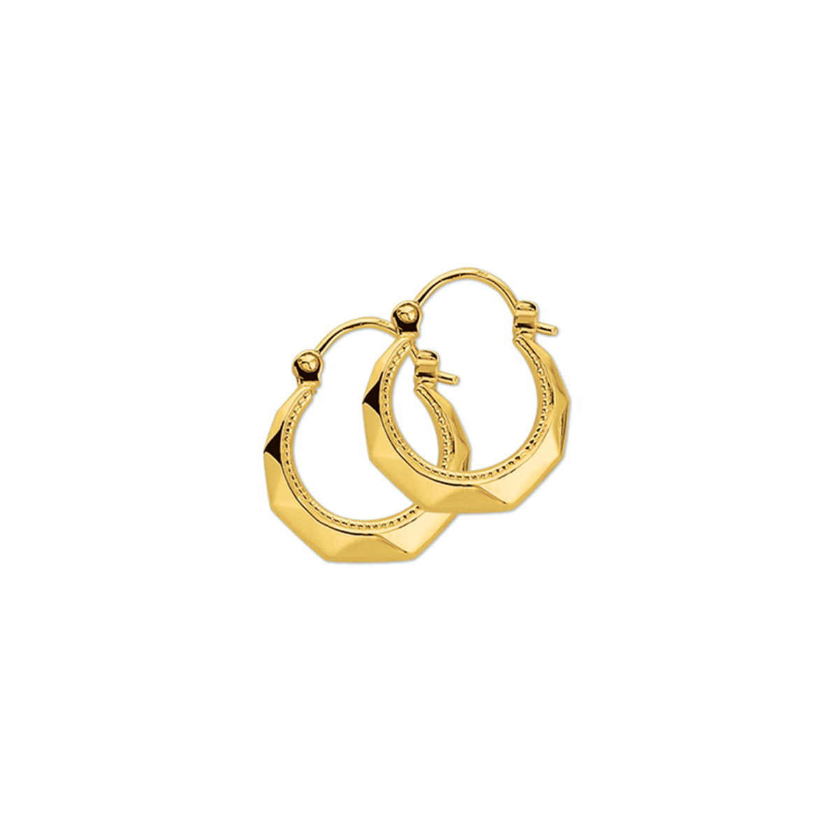 Oorringen lapide 14k geelgoud