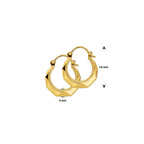 Oorringen lapide 14k geelgoud