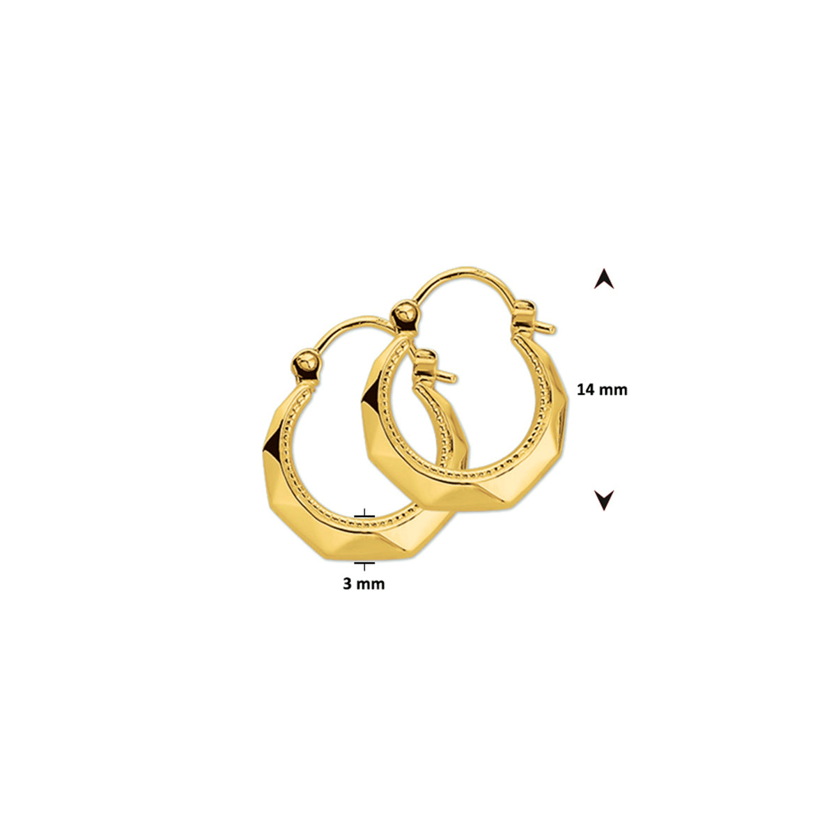 Oorringen lapide 14k geelgoud