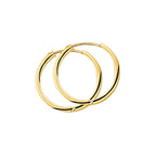 Klapoorringen 2,5 mm ronde buis 14k geelgoud