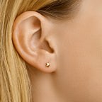 Oorknoppen ster 14k geelgoud