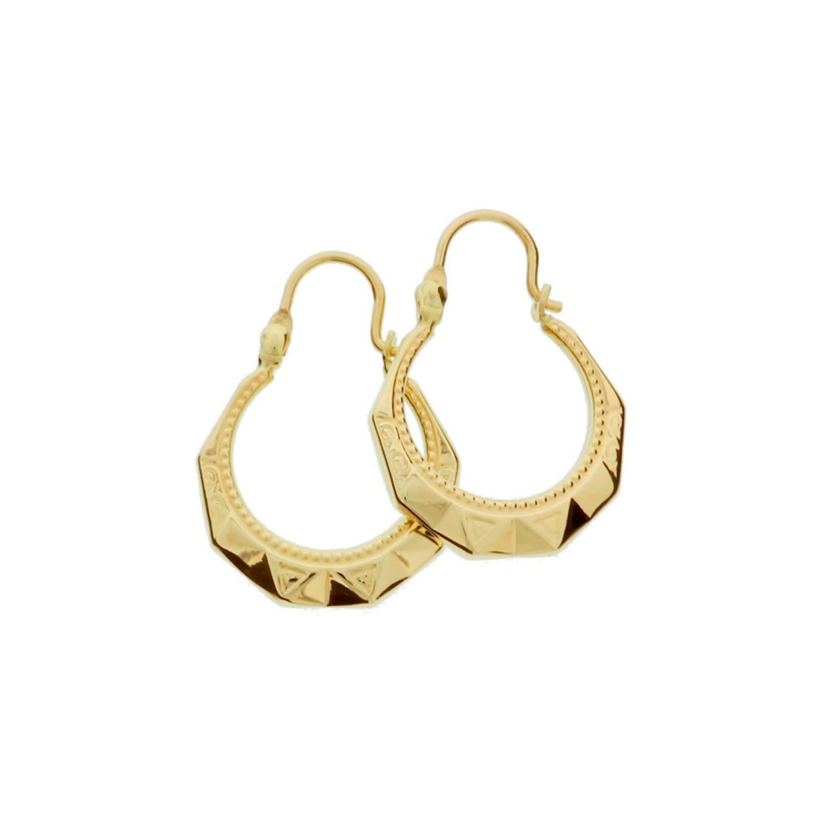 Oorringen lapide 14k geelgoud