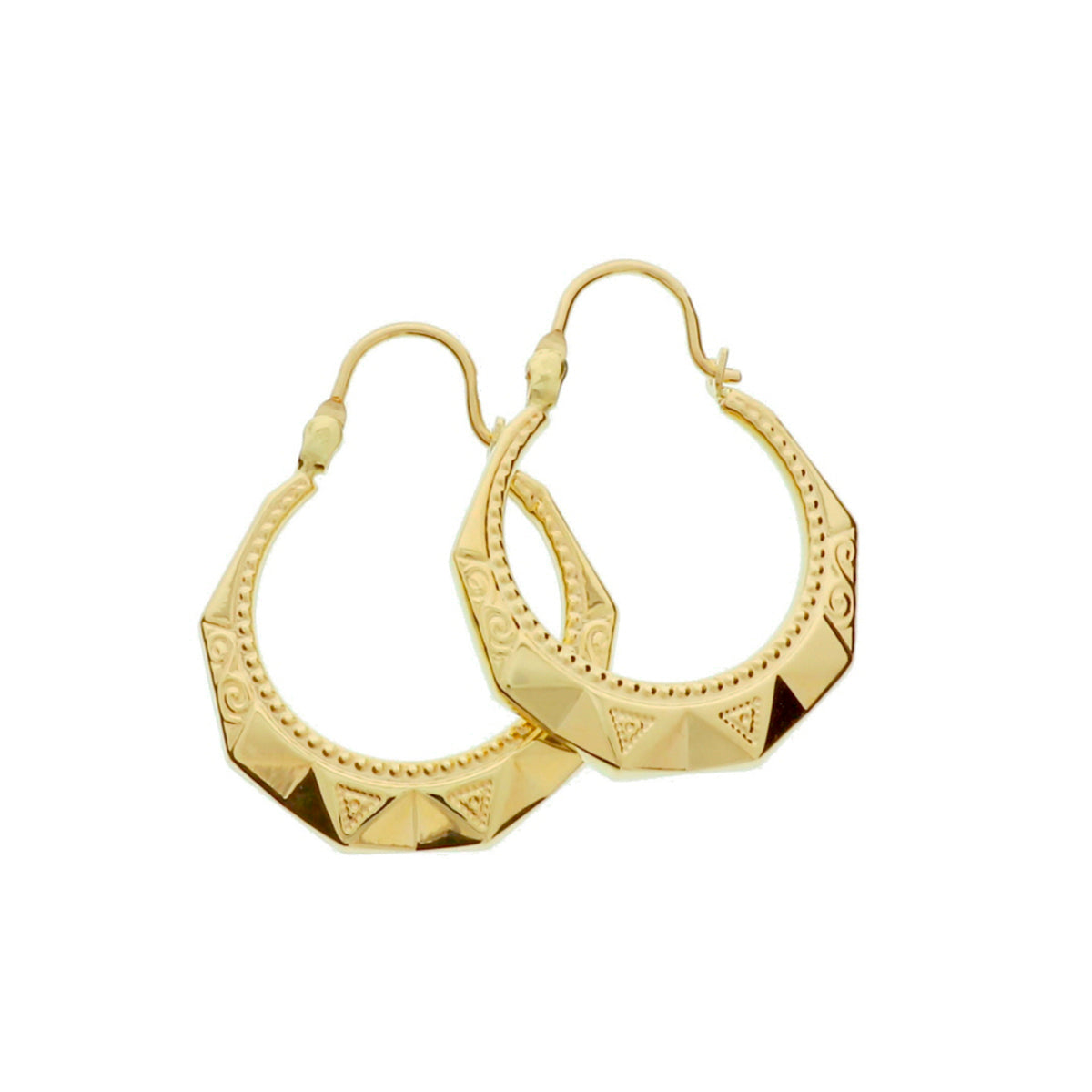 Oorringen lapide 14k geelgoud