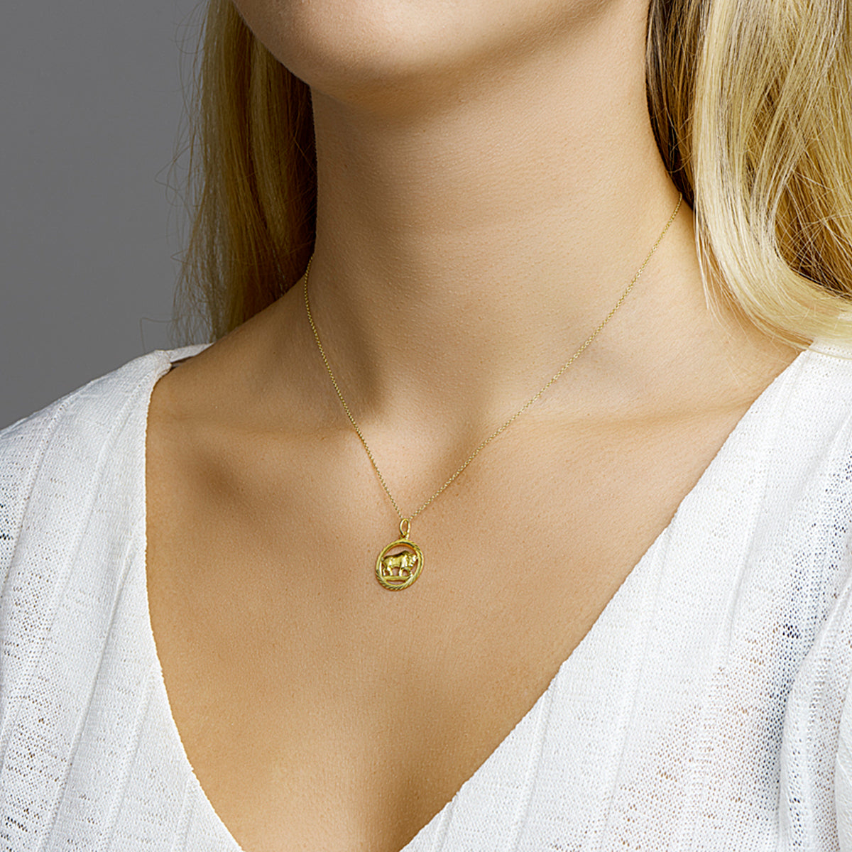 Hanger sterrenbeeld stier gediamanteerd 14k geelgoud